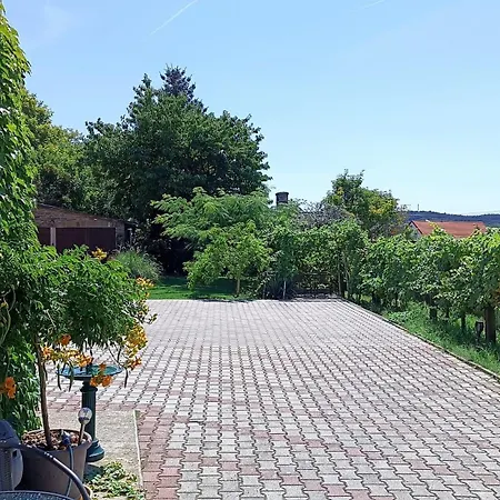 T.h.ny Village Guest house *